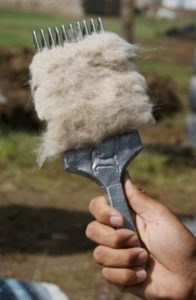 Combing Cashmere