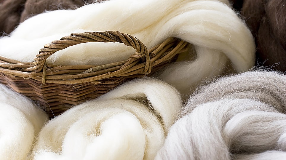 Soft cashmere fiber for making Cashmere Scarves