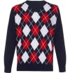Men's Pure Cashmere Argyle V Neck Sweater Lona Scott
